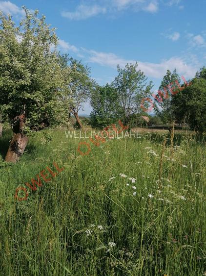 De vânzare teren intravilan în Estelnic! - 10