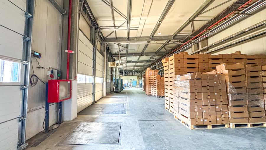 Celula frigorifica - Congelare & Refrigerare - Depozitare Marfa - Berceni - 4