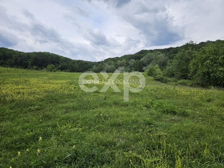 Teren 11,935mp Margineni / Strada Dubas - 6