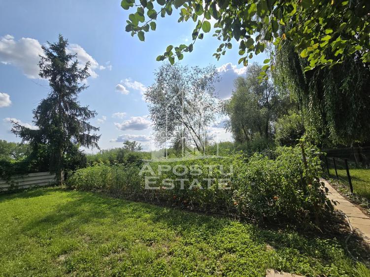 Casa de vanzare, potential pensiune, pe malul Timisului,Sag,comision 0 - 5