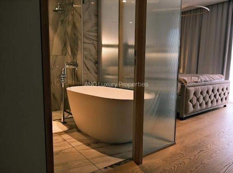 Oportunitate Unica Zona Capitale Dorobanti 4 camere terasa vedere libera - 17