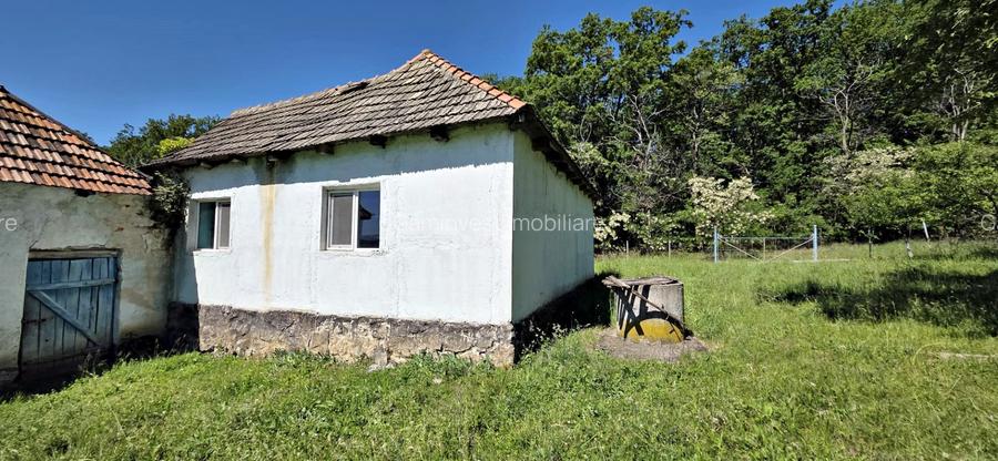 Casa de vanzare si teren de 24000 mp in Fasca, langa padure, 45 km de Oradea - 10