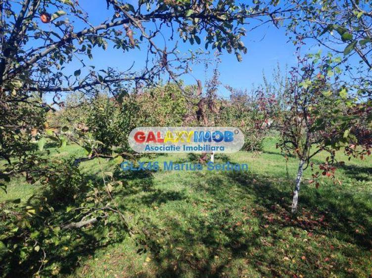 Vanzare casa Petresti Dambovita - 19