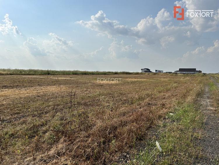 Parcele teren de vanzare in Sanandrei - ID V5451 - 3