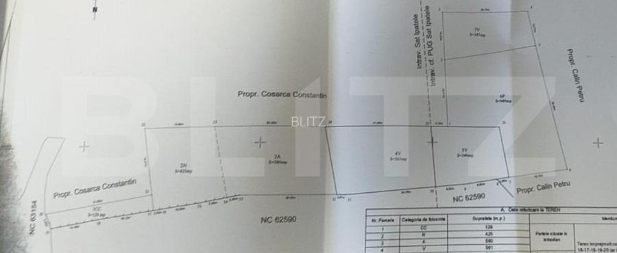 Casa batraneasca cu teren de 6700 mp intravilan, Ipatele - 3