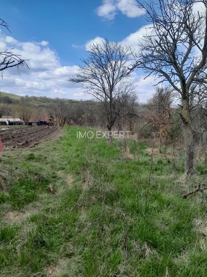 Teren de vanzare in Vaidei - 3