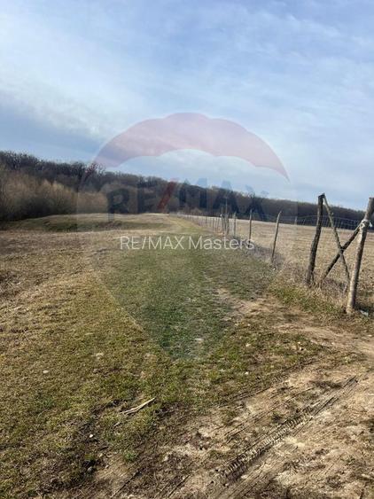 Teren 2925 mp comuna Mitocu Dragomirnei - 16