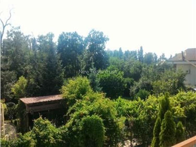 Vanzare Vila Individuala Campul Pipera - 4