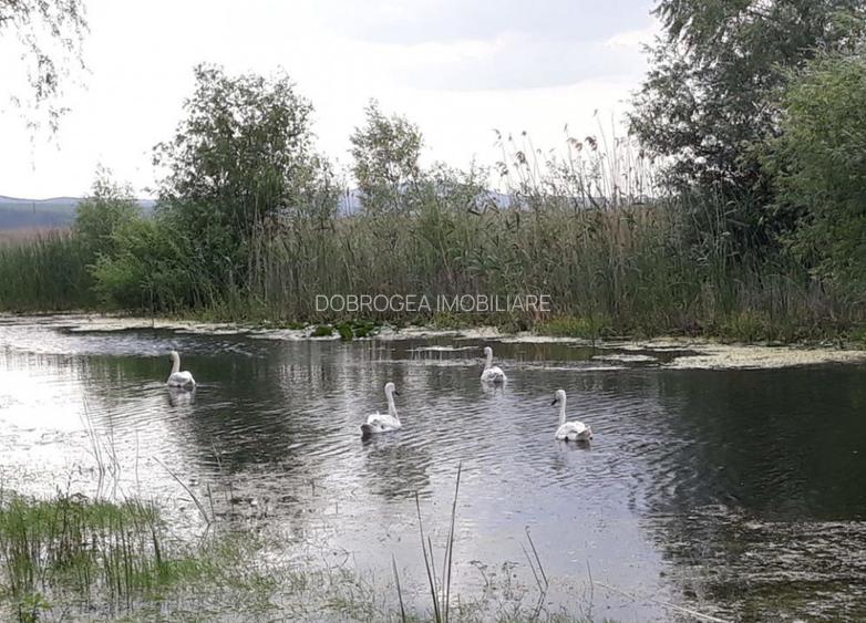 CASLITA- TEREN  1629 MP, IESIRE LA BALTA CASLA - 2