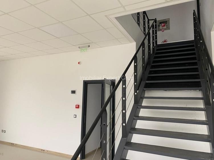 Spatiu de depozitare si productie Mogosoaia - 8