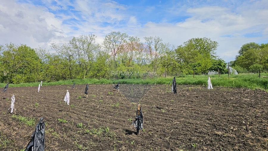 Casă  cu 3 camere, teren intravilan de 1300mp în Ipotești Tișăuți, SV - 29