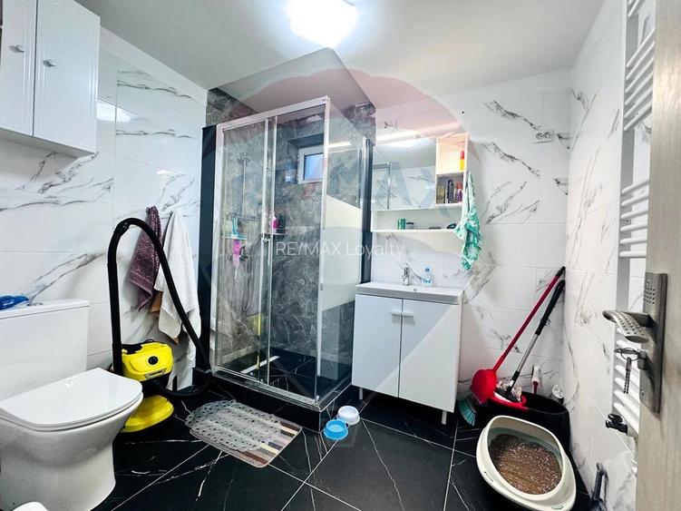 Casa Noua, Mobilata,Pod si Structura pentru Hala,Piscina-Sat Progresul - 8