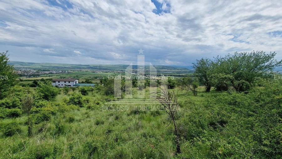 Teren extravilan | De vanzare | 1400 mp | 13 ml deschidere | Paclisa - 4