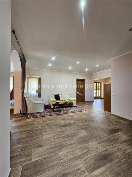 TEREN INTRAVILAN DEVANZARE 33161 MP DE VANZARE TARGU OCNA - 13