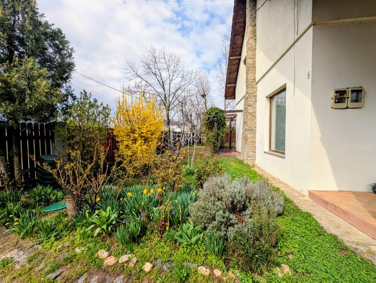 Martha Bibescu,rustic/cochet,4 dormitoare,living-semineu,mobilata,lux,Mogosoaia - 12