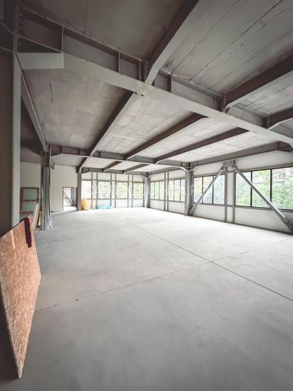 Spatiu Comercial de inchiriat | Bulevardul Basarabia |  - 10