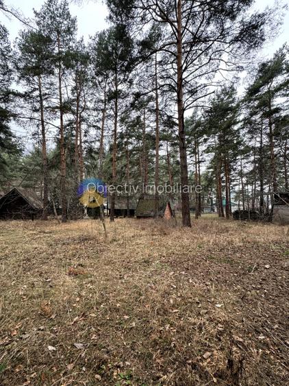 Teren Piatra Neamt - zona strand ideal pentru Hotel - 9