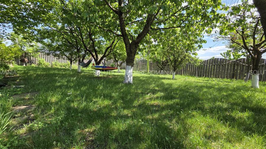 Casa spatioasa, garaj si foisor – Valea Lupului - 6