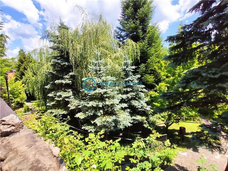 Royal Imobiliare -vanzare vila/ casa de vacanta zona CAMPINA - 28