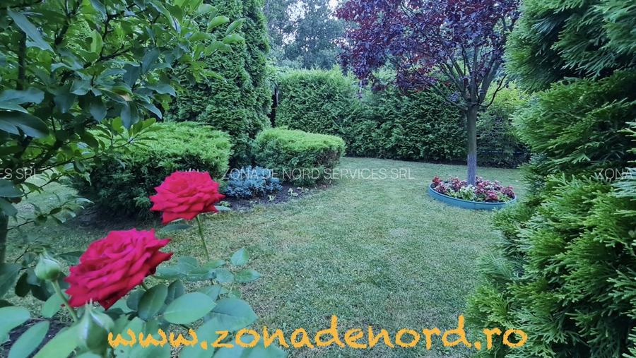 Casă/Vilă generoasă, foarte bine construita, Balotesti-Dumbrăveni - 3