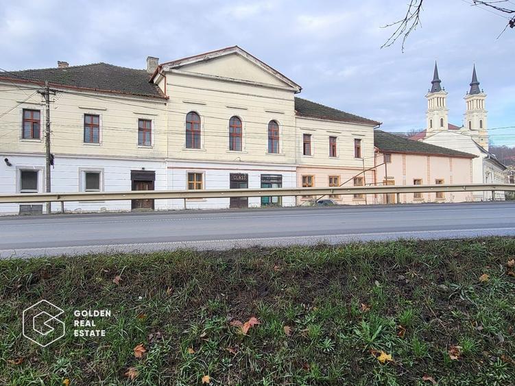 Proprietate tip conac, teren 4468 mp, oras Lipova