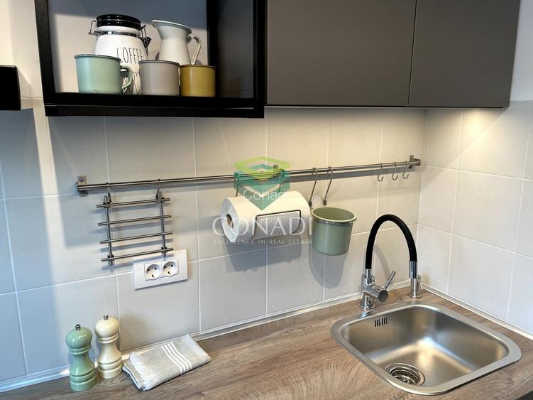 Garsoniera renovata modern str Nada Florilor - Teiul Domnei - 14