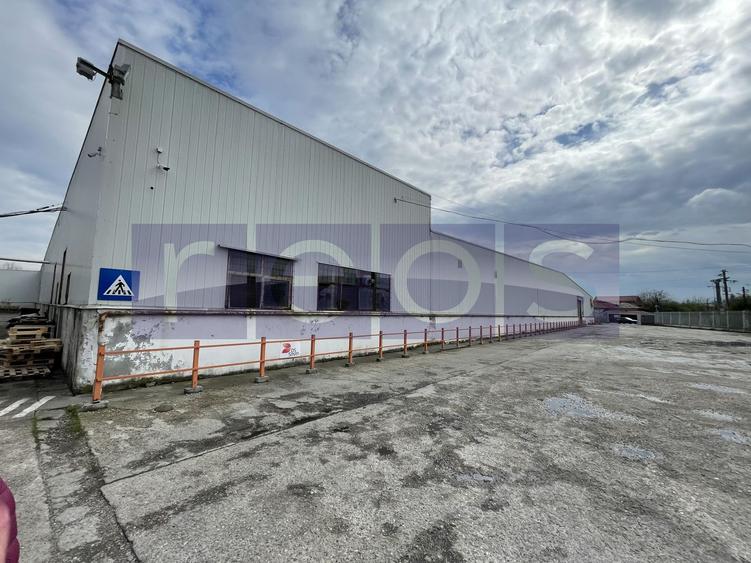 HALA | DEPOZIT - OTOPENI CENTURA  |  20.0000 MP - 18