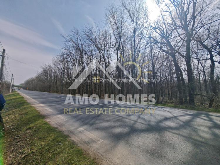 OPORTUNITATE -Teren de Vis la Marginea Pădurii – 5000 mp în Ciorogârla - 5