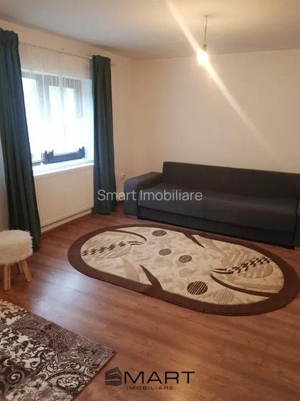 Cabana 4 camere zona Valea Avrigului - 15