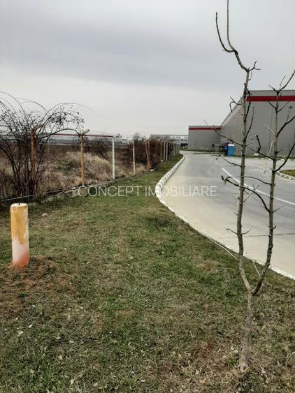Teren, T7,  Domnesti, Zona industriala - 2