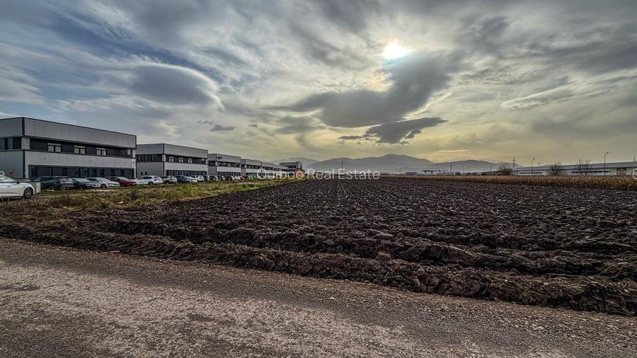 Teren industrial, intravilan, cu utilitati, Stupini, 11.600 mp - 3