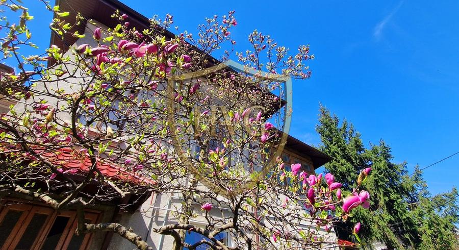 Apartament 2 Camere in Vila | Semidecomandat | Cotroceni | Centrala Proprie - 13