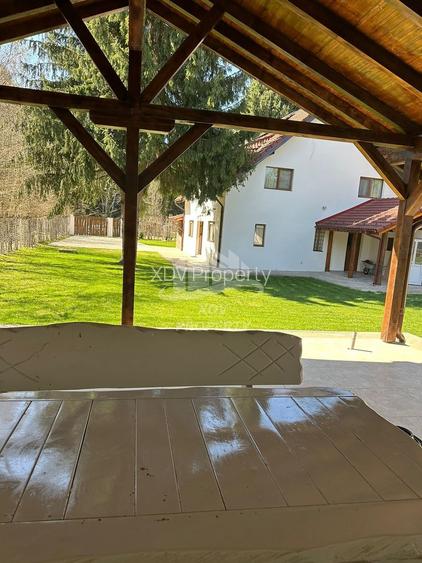 Pensiune/ Vila Valea Avrigului - 8