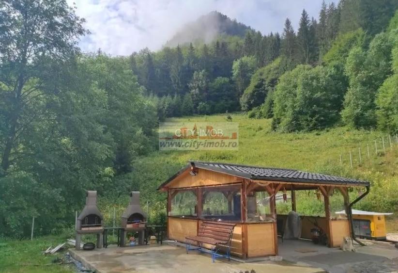 Vanzare Pensiune , Casa ,  Rezervatia Piatra Craiului / Satic, Arges - 7