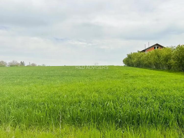 Oportunitate Unică | Teren de Vis pe Malul Lacului | Deschidere lac 16m - 2