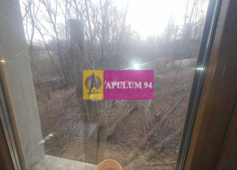 Casă de vânzare în Provița de Jos - 59