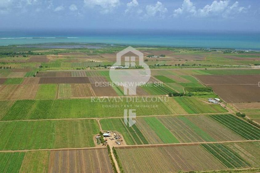 TEREN DE VANZARE - 2
