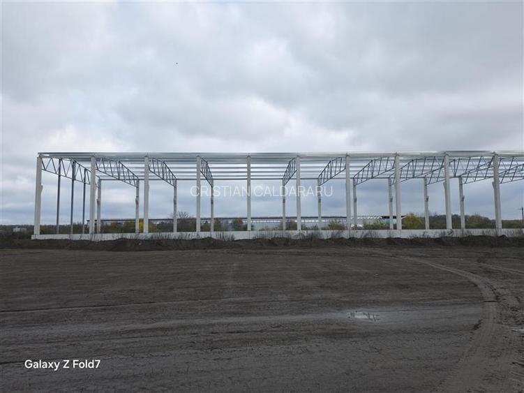 Vanzare depozit/hala/spatiu industrial Mogosoaia - Buftea - 5