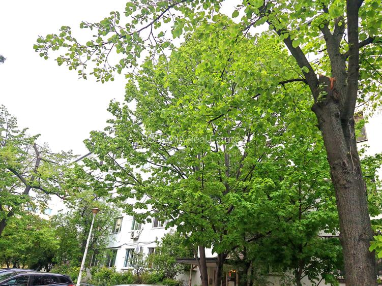 Apartament 3 camere decom - Jean Steriadi - Aleea Giurgeni - instalatii refacute - 11