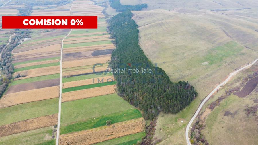 Terenuri de vanzare in Gilau - 2