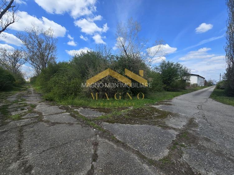 Hale industriale de vânzare – Arad, zona Exterior Vest / Calea Bodrog - 9