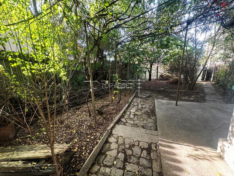 Pantelimon Central - 5