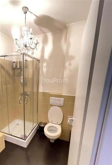 Vila Deosebita Dumbravita - 5