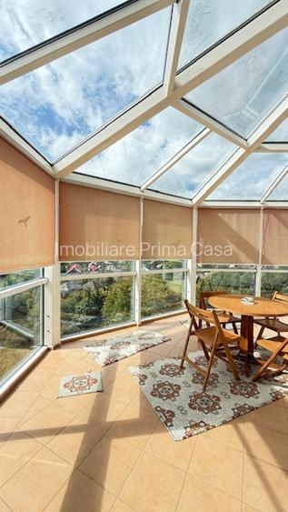 FIRIZA - VILA+ casa batraneasca si 29ari teren, panorama superba! - 19