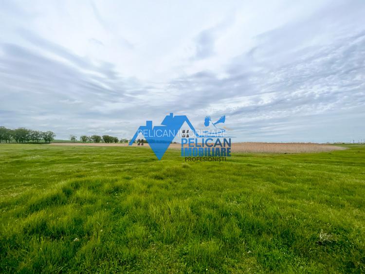 Teren Murighiol - Lacul Pietrei - locatie deosebita - 7