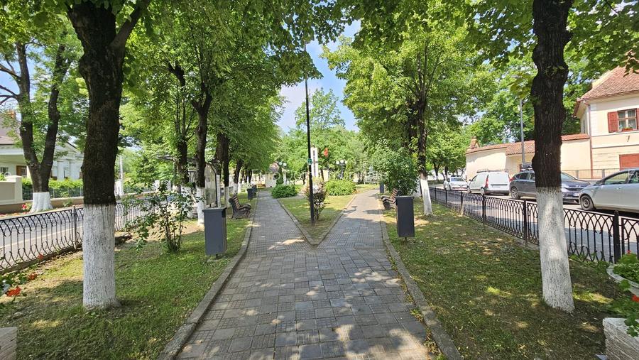 Cristian aproape de Primarie casa saseasca teren 1400 mp - 21