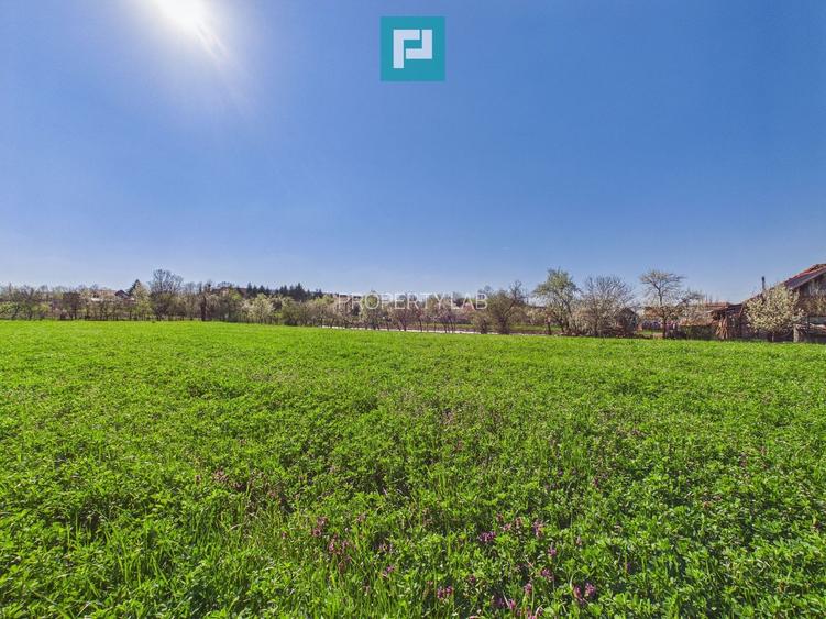 Teren intravilan 3024 mp, în comuna Almaș, Arad - 3