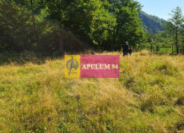 Teren Județul Vâlcea - Brezoi, Valea lui Stan - 6