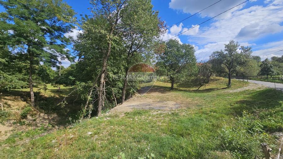 Casă individuală | 4 camere | Teren 4840 mp | Sohodol | Bran - 22