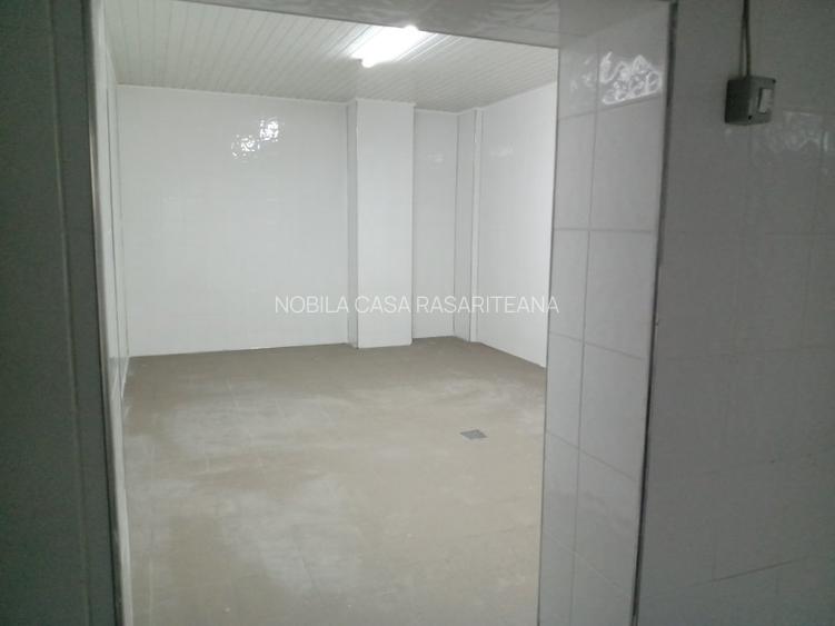 Spatiu industrila-servicii Pantelimon-Delfinului - 3